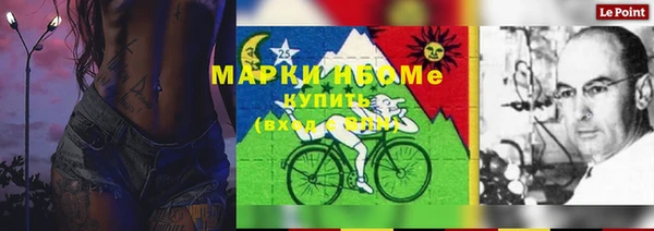 стафф Корсаков