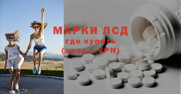 стафф Корсаков