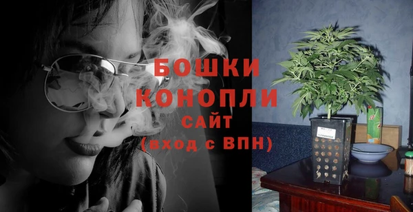 стафф Корсаков