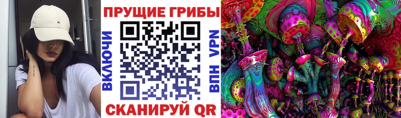 Псилоцибиновые грибы прущие грибы Рудня