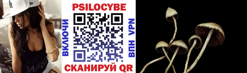 Галлюциногенные грибы Psilocybe Рудня