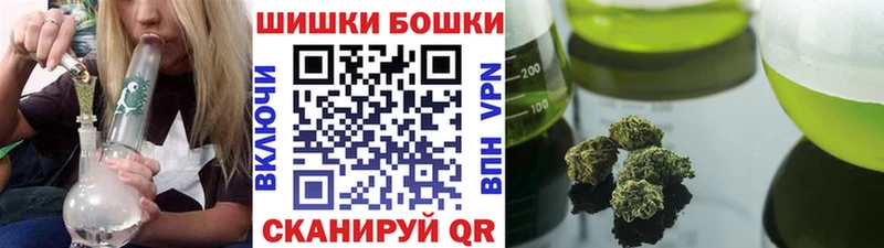 цена наркотик  Рудня  Конопля гибрид 